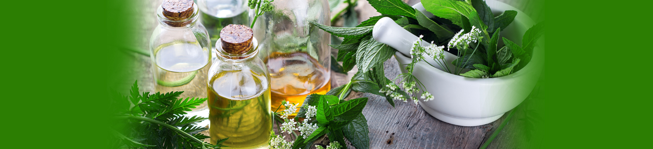 Herbal extracts Manufacturers
